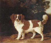 George Stubbs Dog Germany oil painting artist